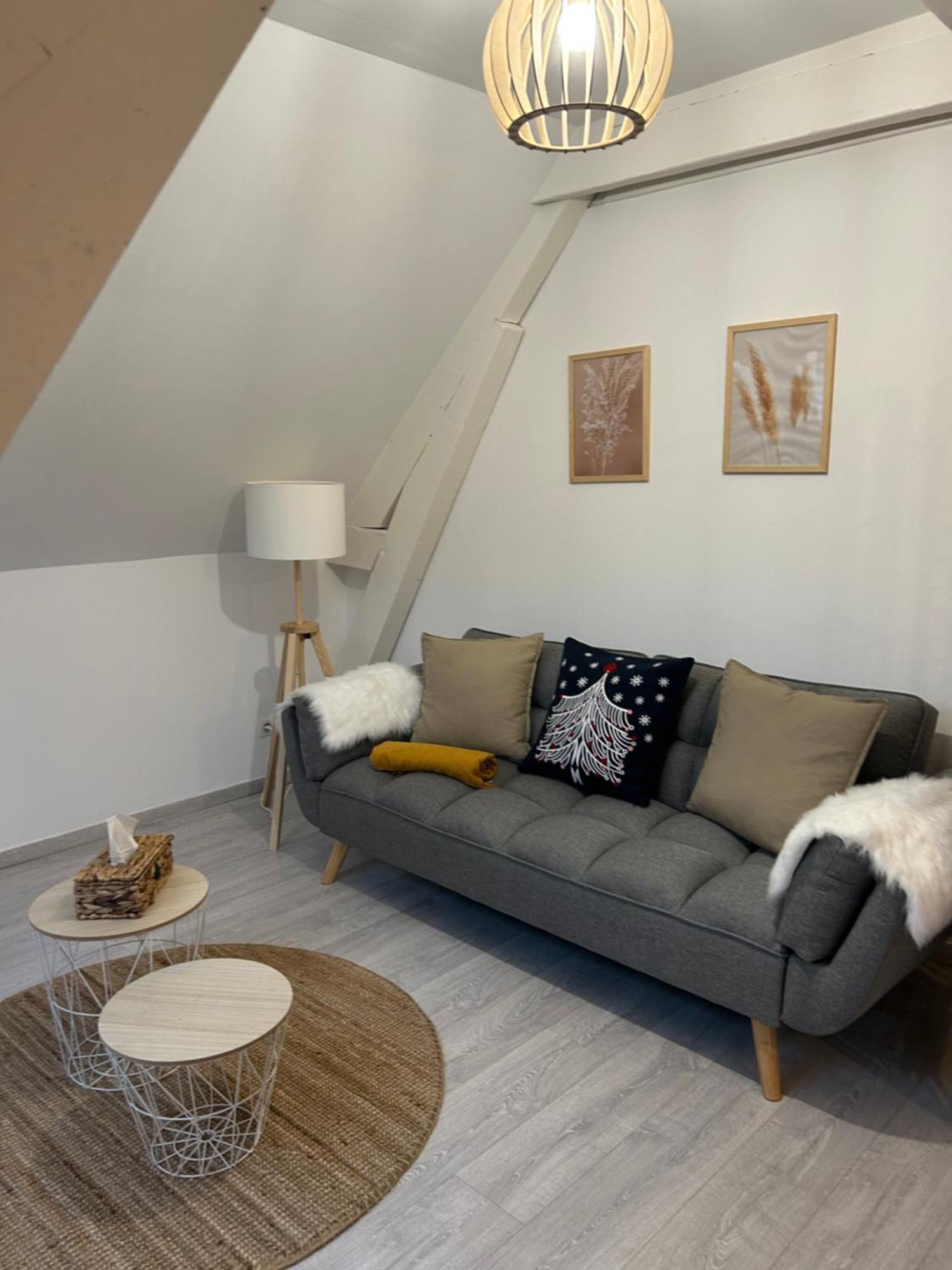 Sb Scandinave Apartment *
